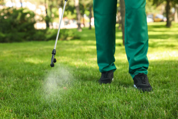 Best Affordable Pest Control Services  in Sneads, FL