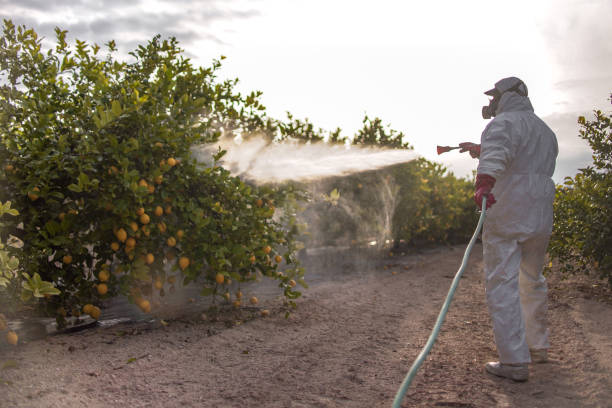 Wildlife Control Services in Sneads, FL