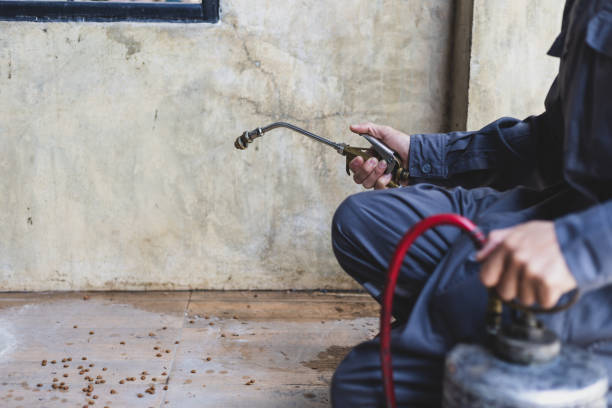 Best Ant Control Services  in Sneads, FL